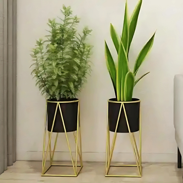Black and Gold Flora Containers - Set of 2