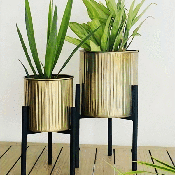 Elegant Gold and Black Plant Stands