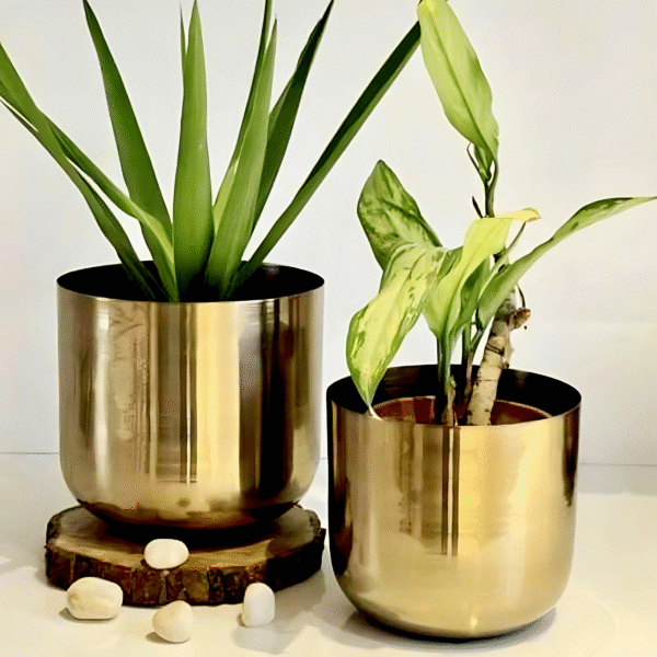 Golden Oasis Planters Set of 2